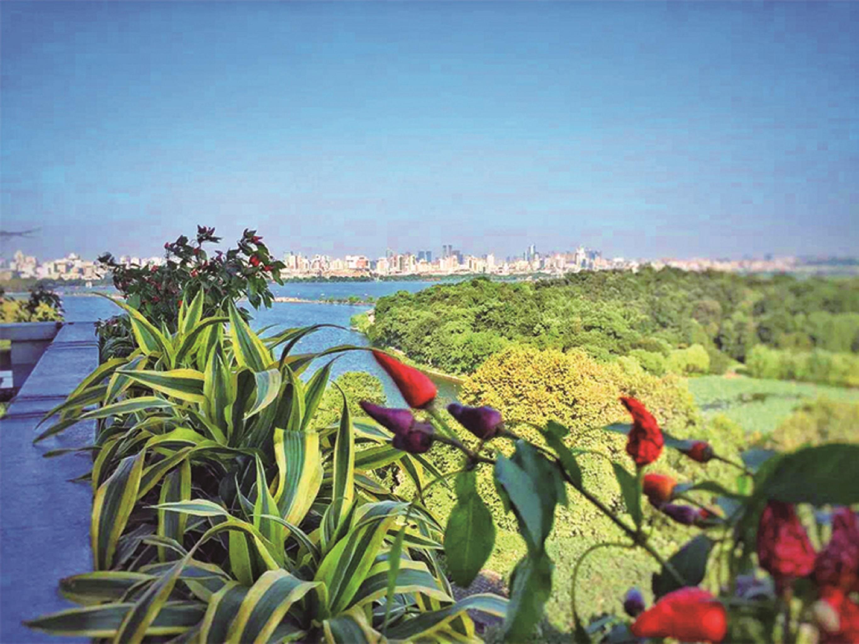 Shangri-La Hangzhou - The Back Garden Of West Lake Buitenkant foto